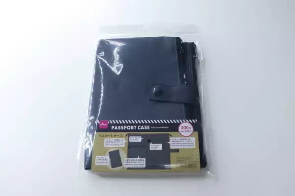 100均の新作が人気出そう！これってもはやポーチでは…？収納力オバケな優秀ケース