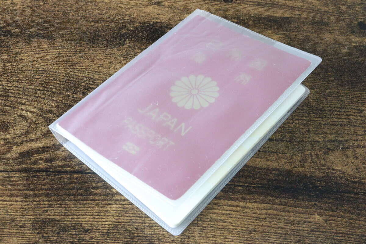 ダイソーのこれに結局行き着いた！いろいろ使ったけど…シンプルで使い勝手が良い専用ケース