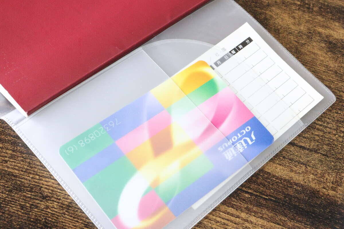 ダイソーのこれに結局行き着いた！いろいろ使ったけど…シンプルで使い勝手が良い専用ケース