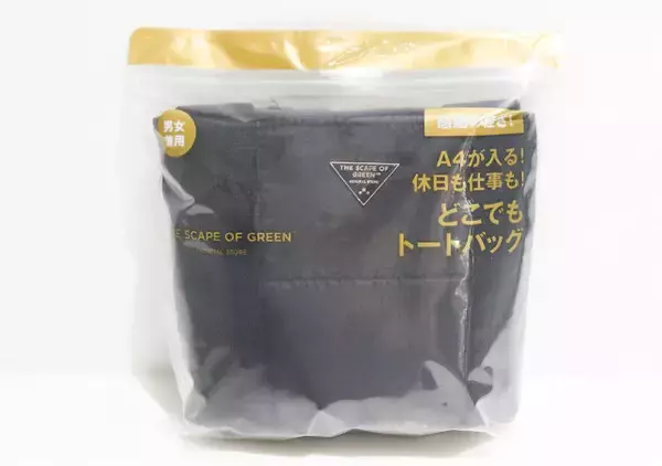 これが付録ってすごくない！？丈夫で軽くて持ちやすい！A4も入る超万能トートバッグ