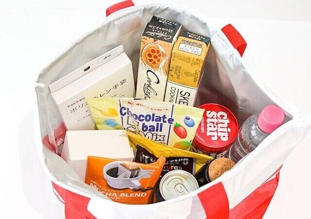 付録なのにお店で売ってるレベルのクオリティ！これからの季節の必需品♡高見え保冷バッグ特集