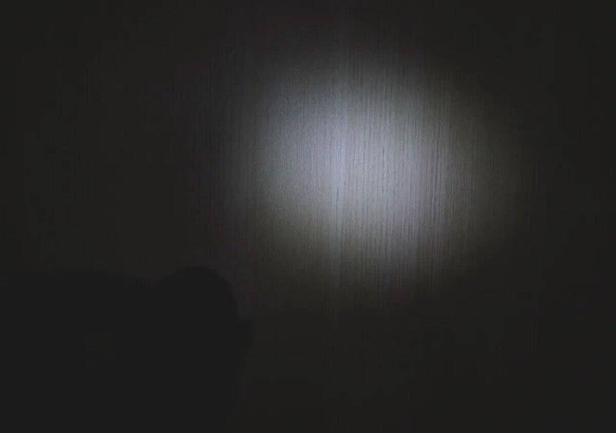 100均で何気なく買ったら凄すぎた！いざという時あると役立つ！つけとくと便利なキーホルダー