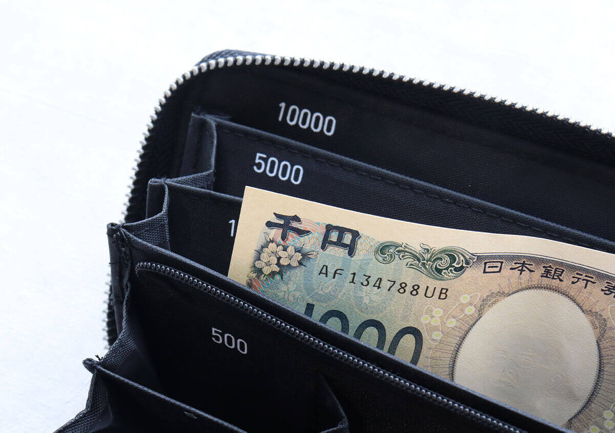 これが付録だなんて信じられん…！こんなに仕分けられる財布、他にある！？