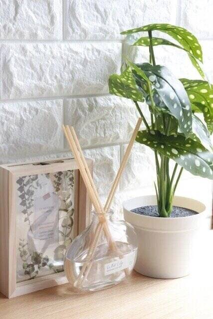 スリコで見かけたら即カゴ行き！もう100均には戻れないや…使い勝手がレベチな便利グッズ5選