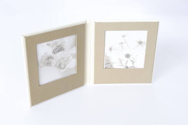 ダイソーさん紙って発想なかったよ！保管もディスプレイもお任せできるアイディアグッズ