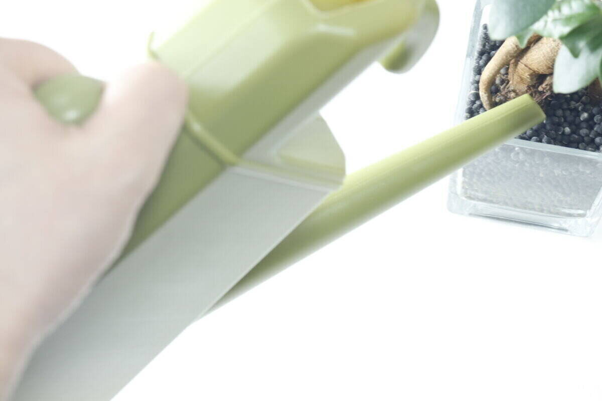 コレよく考えたな～！「そのまま吊るせるの便利すぎ！」220円の優秀アイデアグッズ