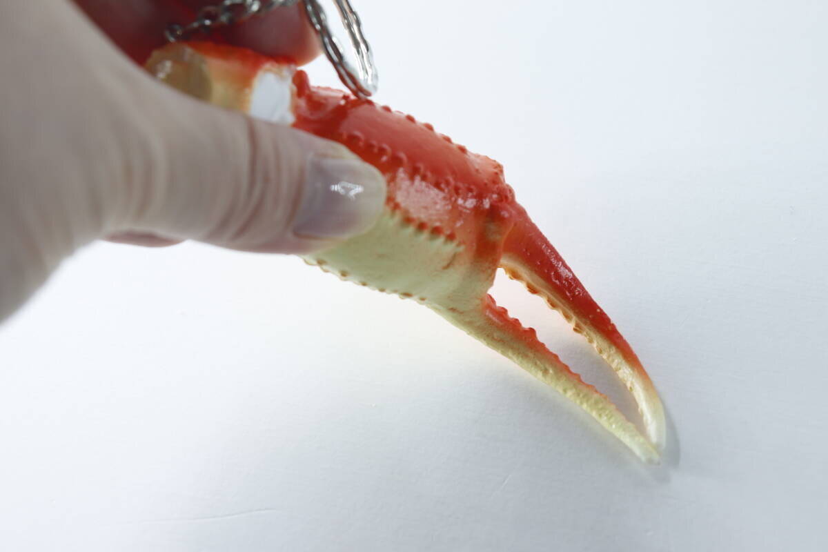 「2度見どころか5度見！」「ギャグ？」インパクト大な100均キーホルダー