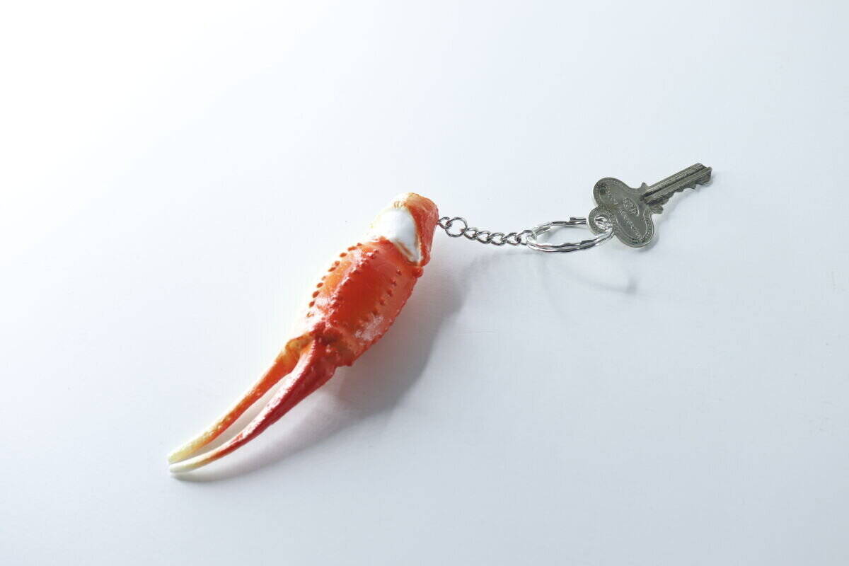 「2度見どころか5度見！」「ギャグ？」インパクト大な100均キーホルダー