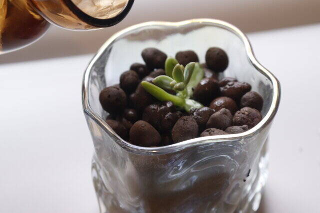 ダイソーのボールがいい仕事してくれます♡面倒な問題をまるっと解決できる神商品