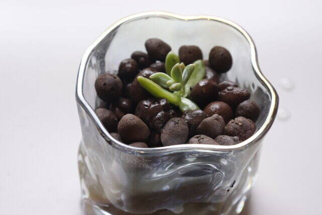 ダイソーのボールがいい仕事してくれます♡面倒な問題をまるっと解決できる神商品