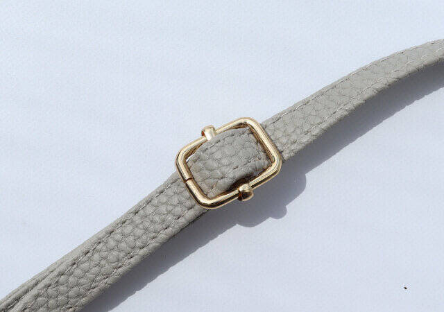 これが付録って…お店で買ったらいくらするのっ？！見つけたらマジでラッキー！スマホショルダー