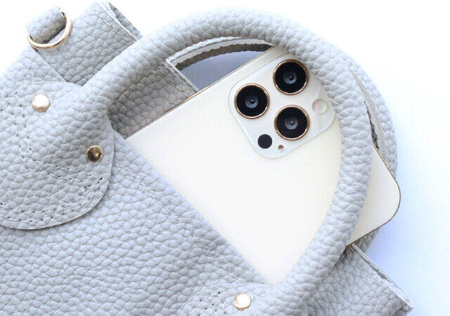 これが付録って…お店で買ったらいくらするのっ？！見つけたらマジでラッキー！スマホショルダー