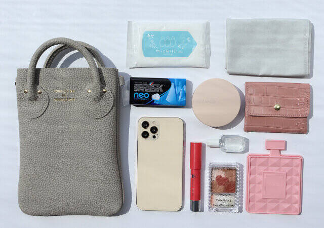 これが付録って…お店で買ったらいくらするのっ？！見つけたらマジでラッキー！スマホショルダー