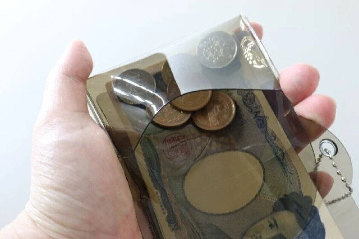 100均ですごい商品見つけた♡「普通の財布？」と思って舐めてました…買ってよかった優秀商品