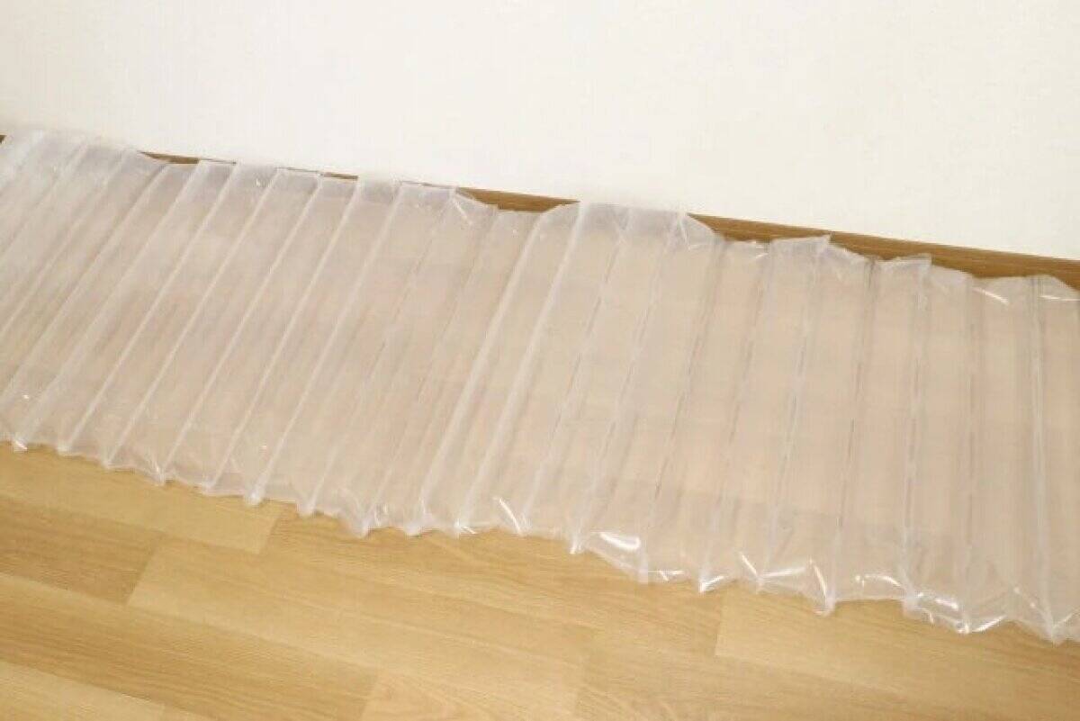 この値段でいいの！？使わないことを願うけど…！備えておくと安心な100均グッズ3選