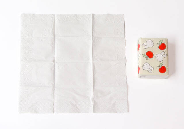 InRed3月号のミッフィー付録が大当たり♡2冊買い確定！お助け6点セット＆トートバッグ