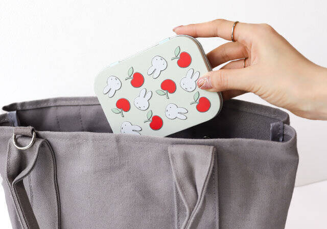 InRed3月号のミッフィー付録が大当たり♡2冊買い確定！お助け6点セット＆トートバッグ