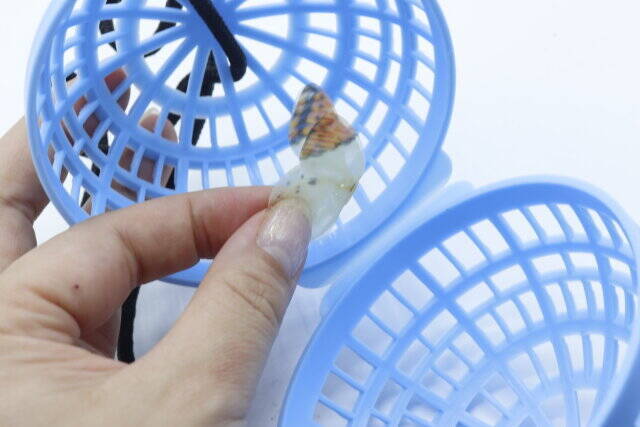 セリアでまた売り切れそうな商品見つけた…！丸ってアリ？！小さくて携帯に便利な容器