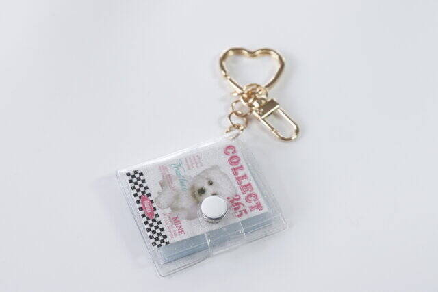 ダイソーでめっちゃ可愛いの見つけた♡手のひらにすっぽり入る超極小ミニミニアルバム