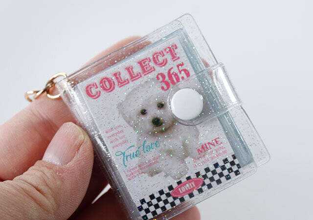 ダイソーでめっちゃ可愛いの見つけた♡手のひらにすっぽり入る超極小ミニミニアルバム