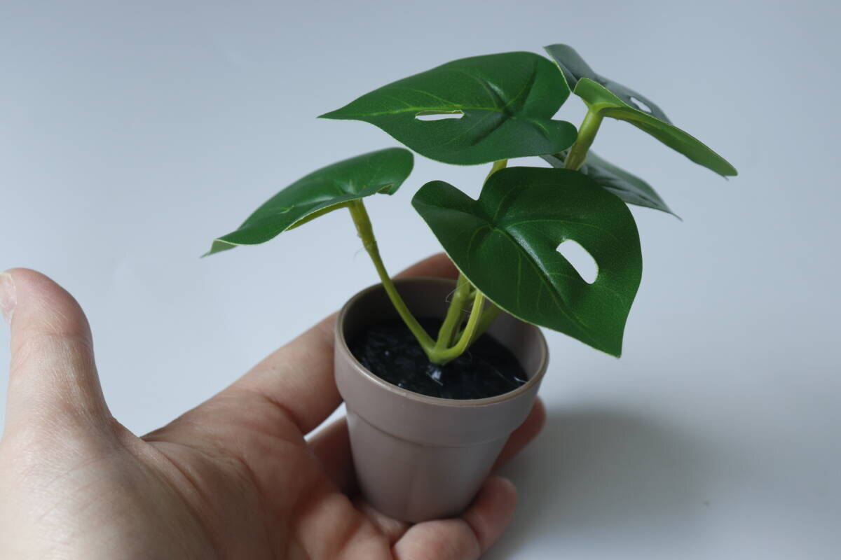 グリーンの本気度が凄い！100均のレベルじゃない！大人が取り入れやすい本格商品