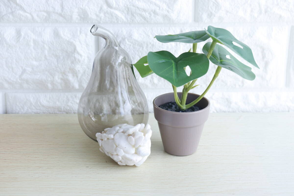 グリーンの本気度が凄い！100均のレベルじゃない！大人が取り入れやすい本格商品