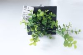 グリーンの本気度が凄い！100均のレベルじゃない！大人が取り入れやすい本格商品