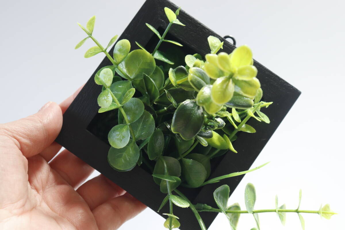 グリーンの本気度が凄い！100均のレベルじゃない！大人が取り入れやすい本格商品