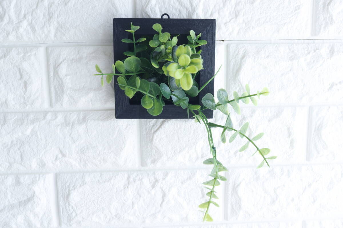 グリーンの本気度が凄い！100均のレベルじゃない！大人が取り入れやすい本格商品