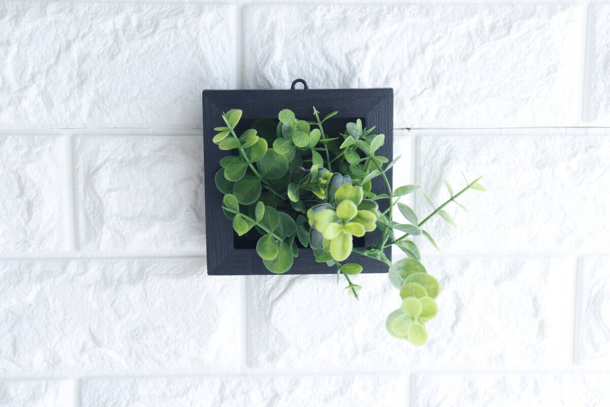 グリーンの本気度が凄い！100均のレベルじゃない！大人が取り入れやすい本格商品