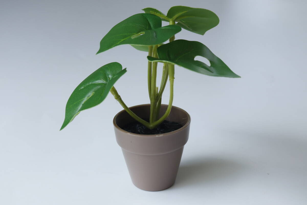 グリーンの本気度が凄い！100均のレベルじゃない！大人が取り入れやすい本格商品