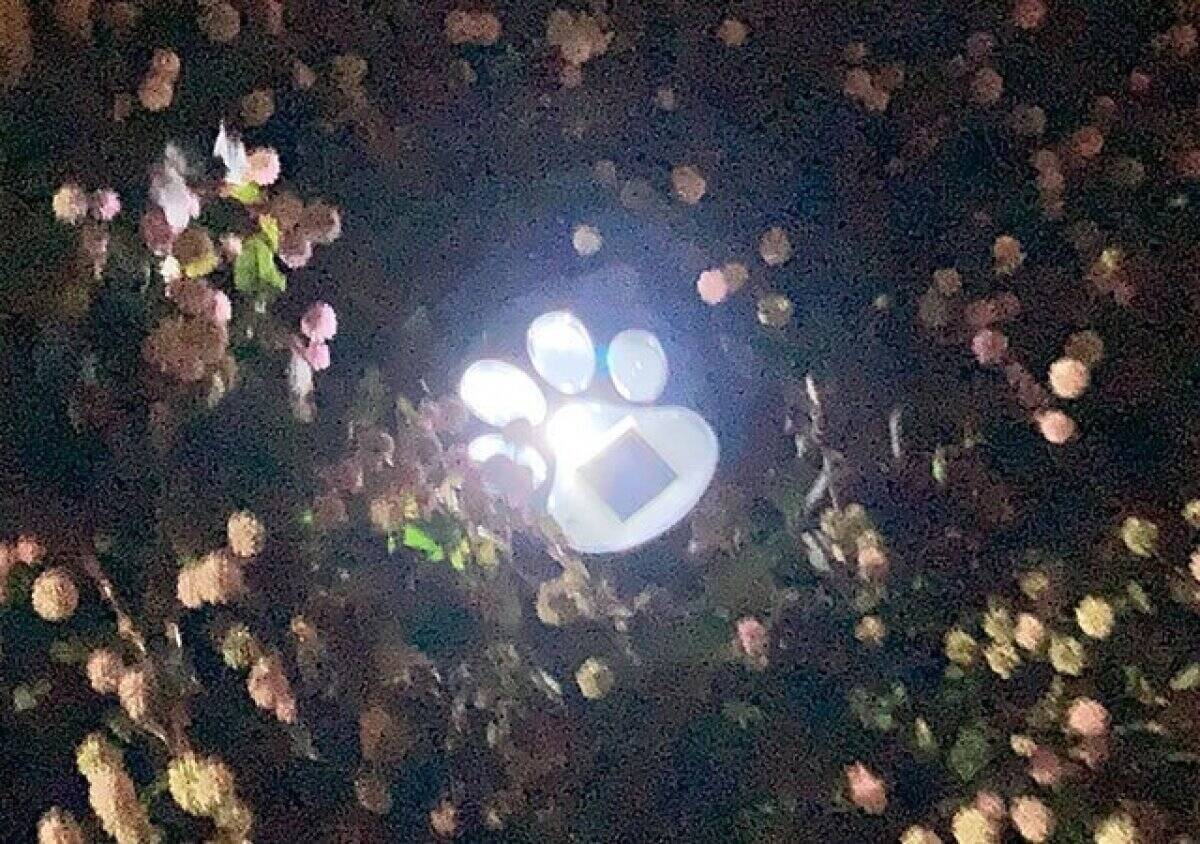 先に100均見といてよかった！ホムセンじゃこの値段で買えない♡マニアも激推しの便利グッズ