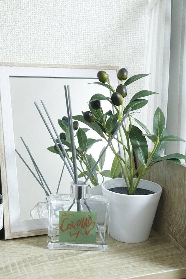 100均で買えるなら…もう本物じゃなくていいや！「安い・軽い・手間なし」の300円グッズ