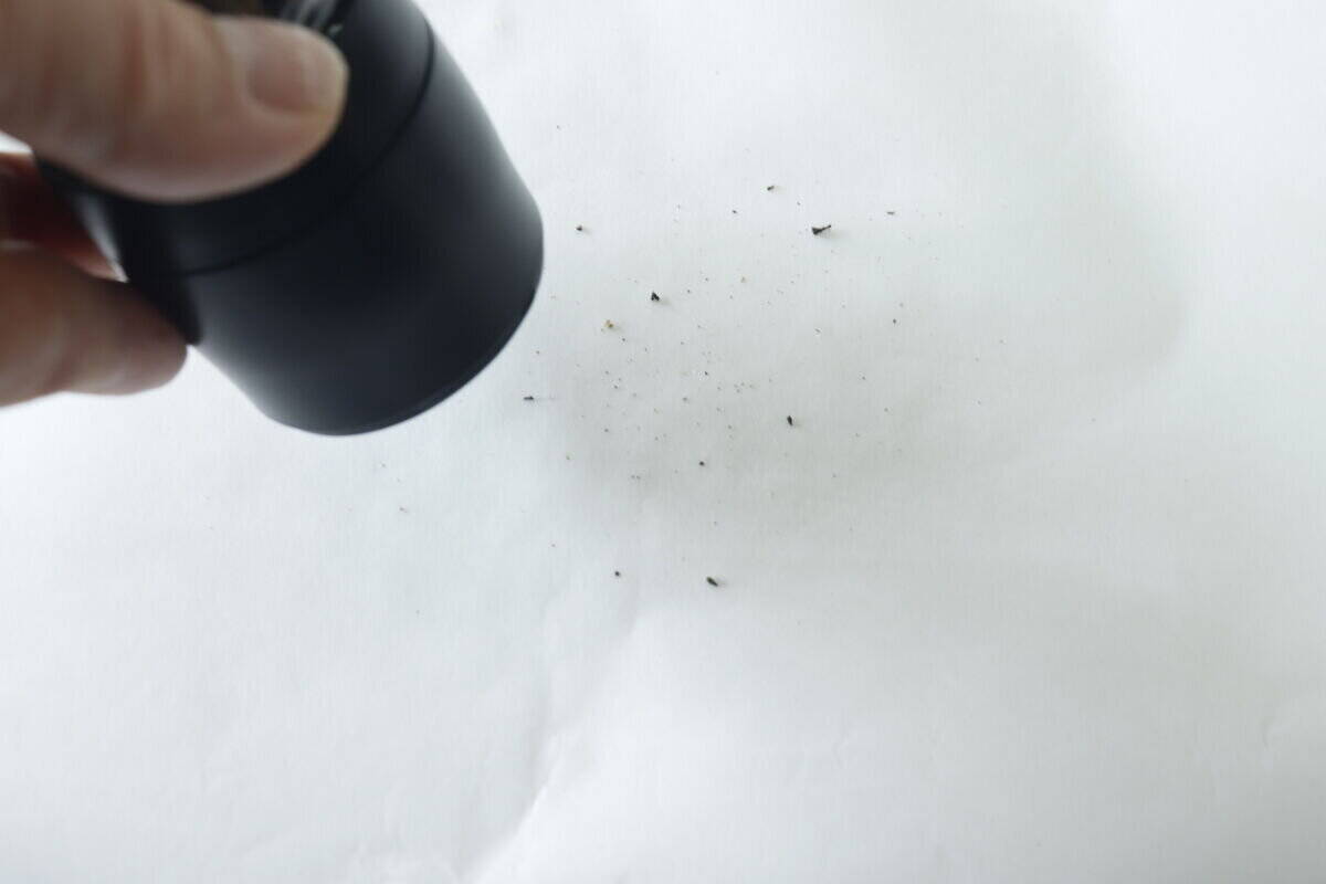 試しに買ったら大成功！「必要な分だけ気軽に使える！」挽きたてを味わえる100均の本格グッズ