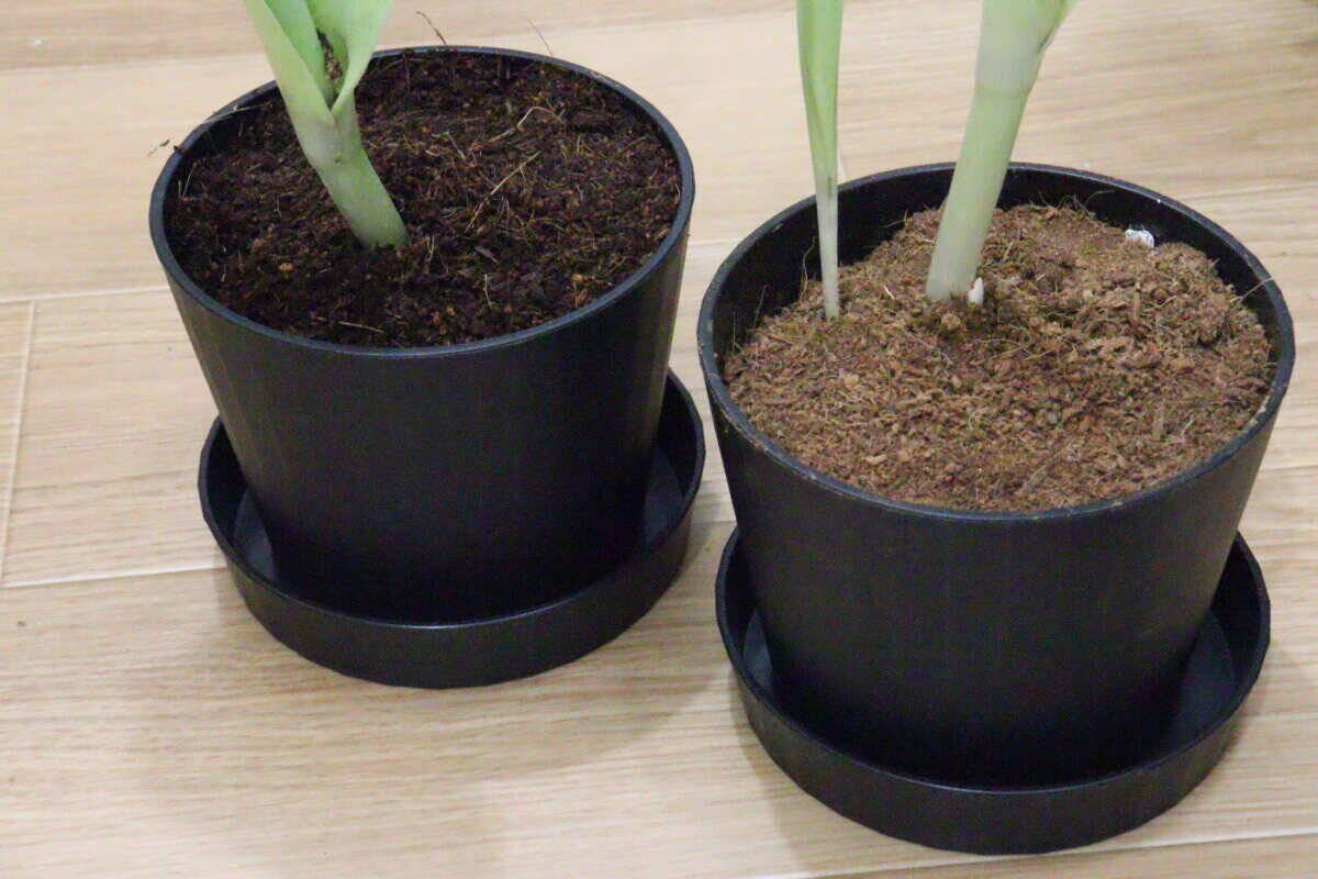 100均のコレ…地味に見えて意外と優秀！「底見て驚いた！」見た目も機能もバッチリ隠れた名品