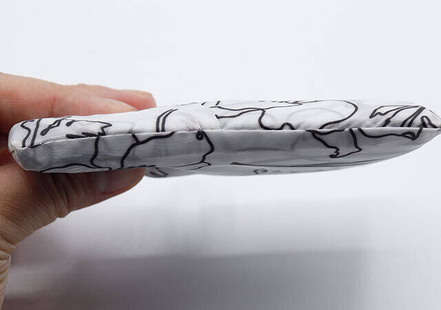 ダイソーさんいつの間に進化してたの！？使いやすさが段違い！大優勝なエコバッグ