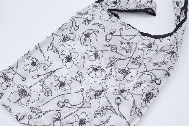 ダイソーさんいつの間に進化してたの！？使いやすさが段違い！大優勝なエコバッグ