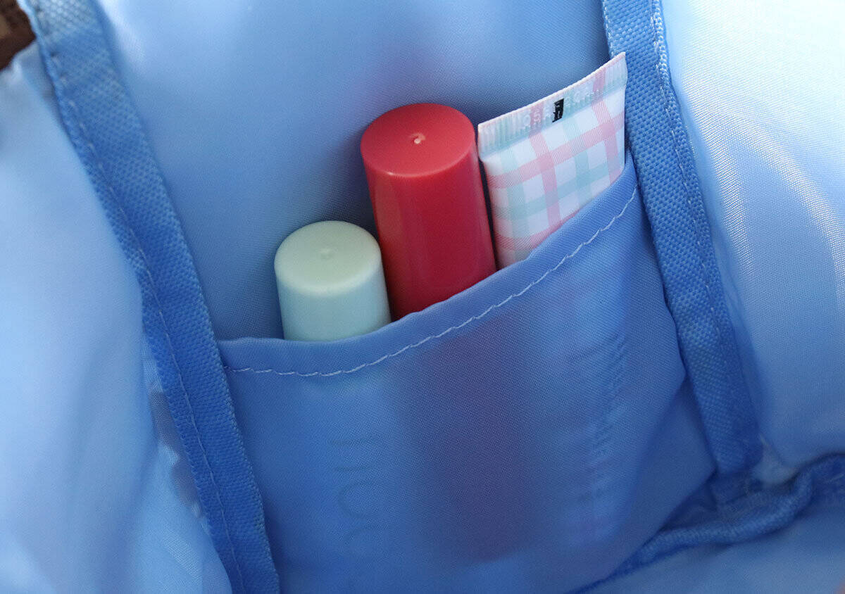 InRed6月号の付録がめっちゃ便利！おしゃれで収納力おばけ♡人気ブランドのバニティポーチ