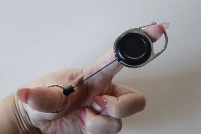 ダイソーのコレ鍵につけとくと便利だよ～！諦めてたバッグにもつけられる便利なキーホルダー