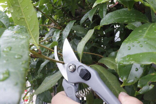 えっダイソーさん200円で良いの？！迷わず買っちゃった高コスパ商品