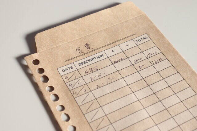 キャンドゥさんずっとまってたよ～！家計管理に大助かり♡ファイリングできる封筒