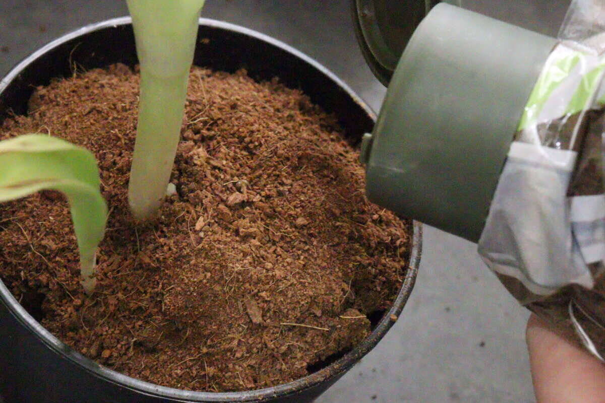 100均で買って大・大・大正解！「手も道具も汚れにくいって助かるわ」保管も楽になる神グッズ