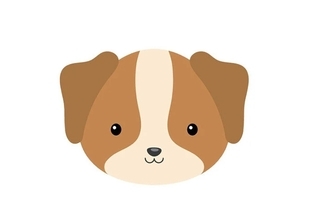 あなたを動物にたとえるなら？心理テストでわかる「人間関係で陥りやすい闇」