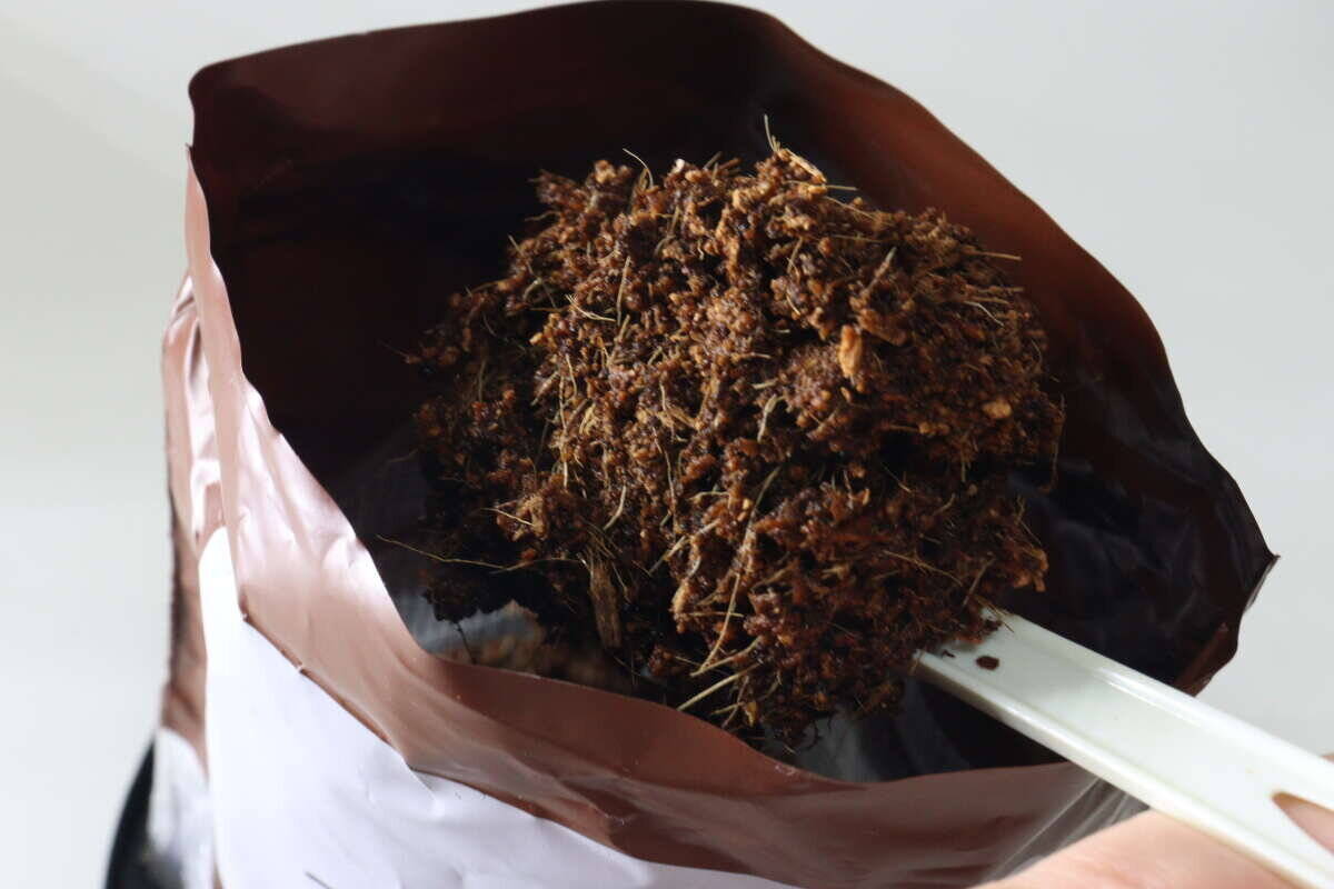 えっ食べられるの…？！気になりすぎて買うしかなかった100均の栽培キット