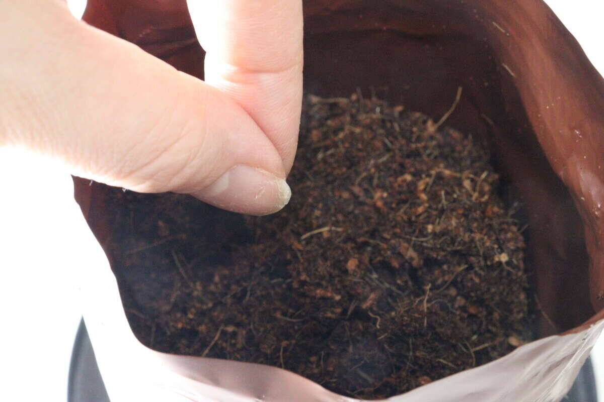 えっ食べられるの…？！気になりすぎて買うしかなかった100均の栽培キット