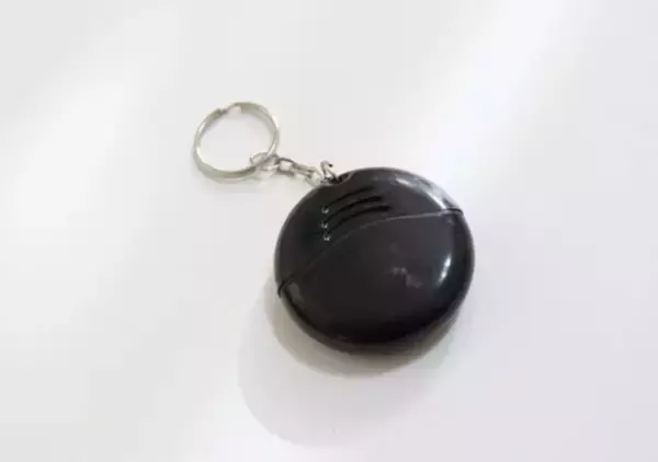 「バッグに付けとくと安心感違う！」便利な100均キーホルダー3選