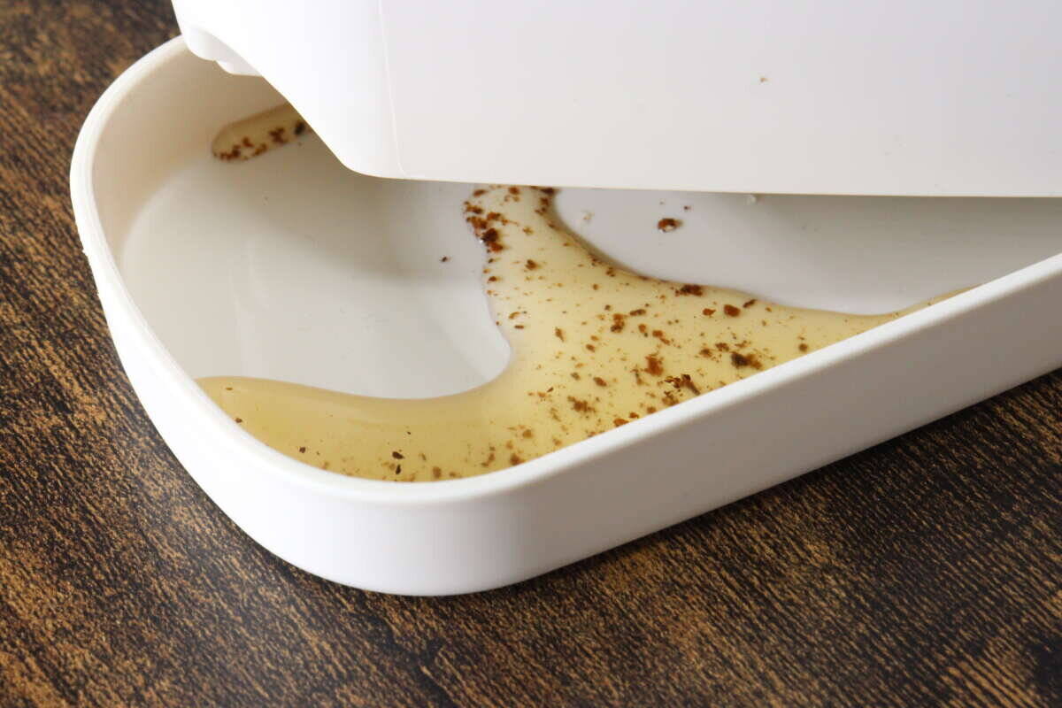 疑ってごめん…「鉢が欠けてるよ～（泣）」って思ったらそういうこと？！100均グッズ