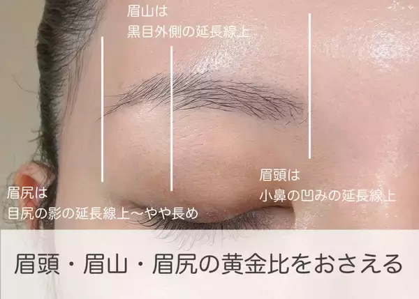 ただの平行眉は古いです！プロ直伝！今っぽ平行アーチ眉の作り方完全ガイド