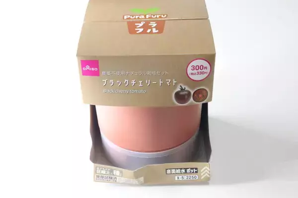 300円で良いの？「スーパーでも見たことないよ…」珍しいアレを育てるキット