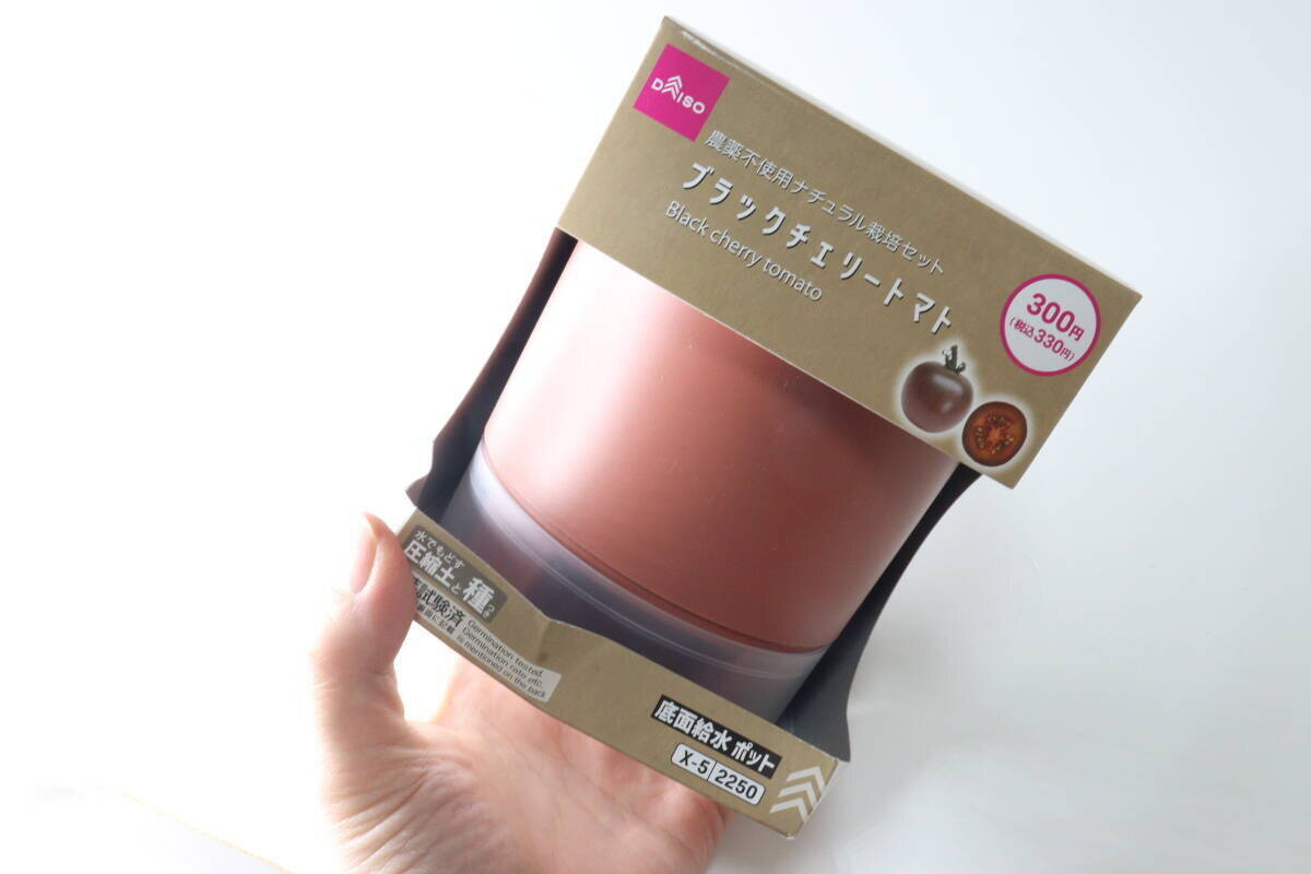 300円で良いの？「スーパーでも見たことないよ…」珍しいアレを育てるキット